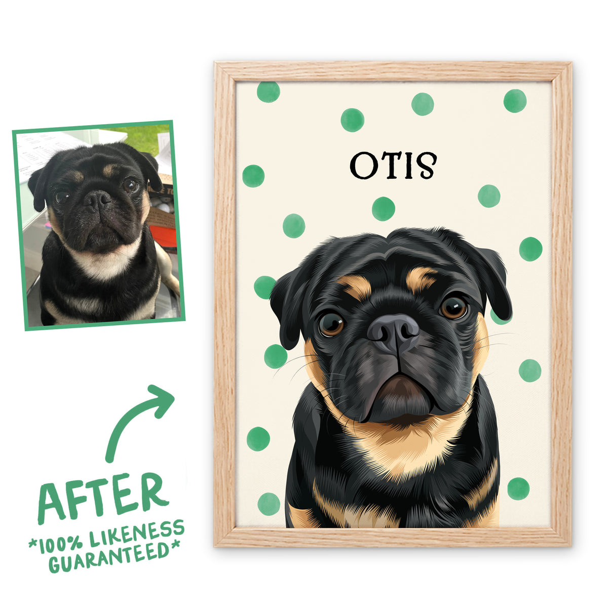 Green Polka Dots pet portrait of Otis in a light birch frame, before and after, 100% likeness guaranteed
