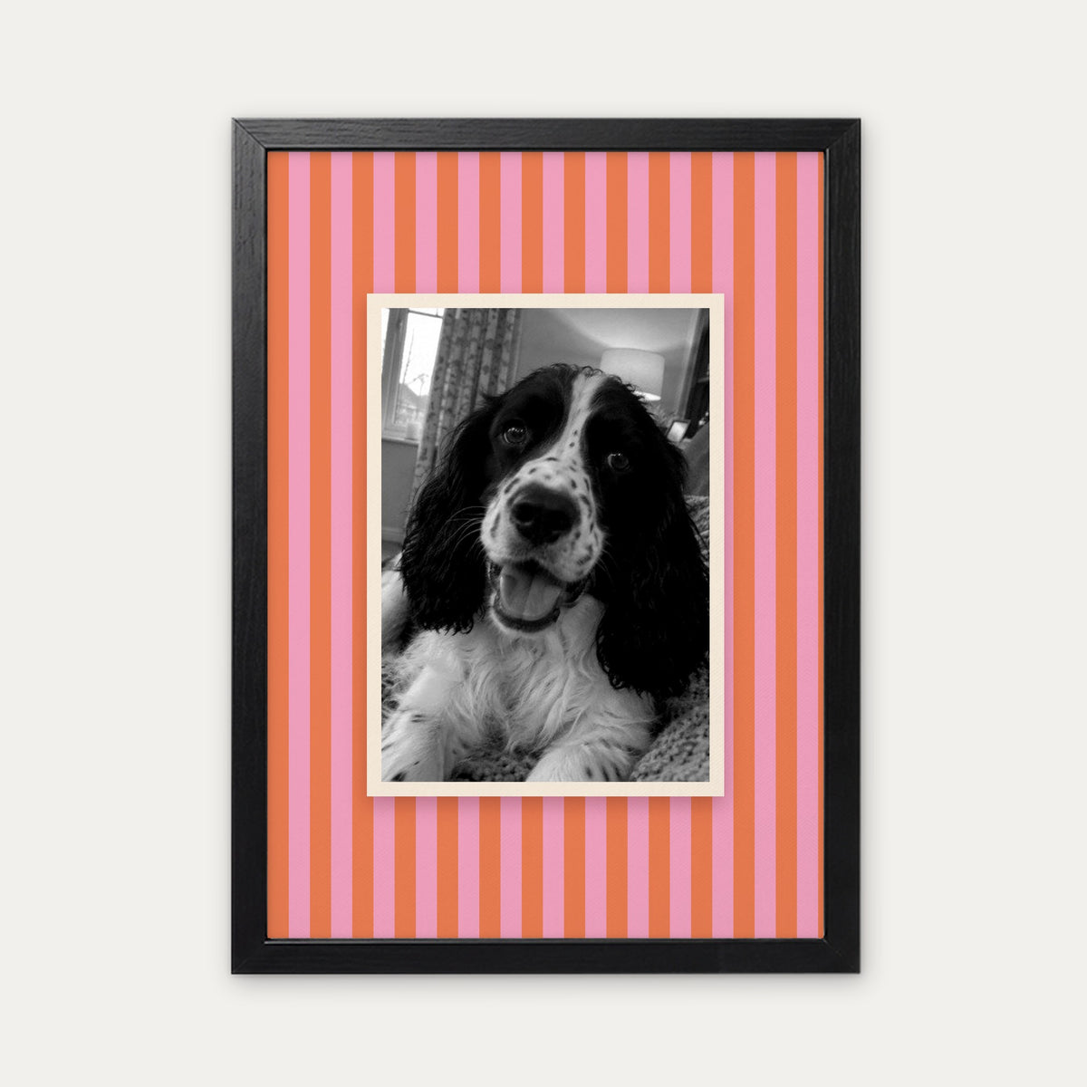 Candy Stripe custom pet photo print in a black frame