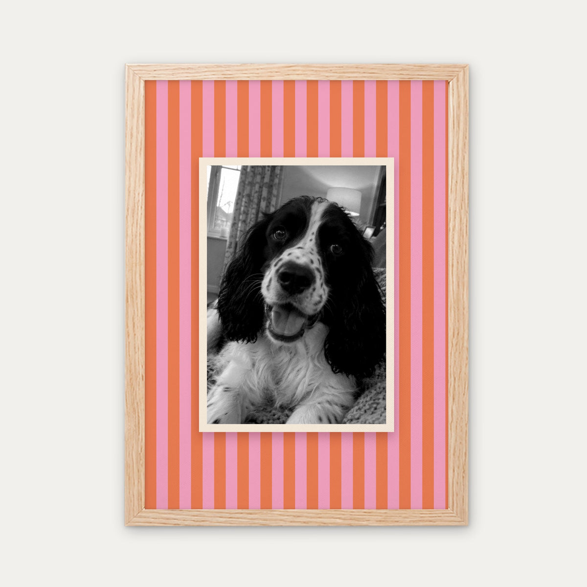 Candy Stripe custom pet photo print in a light birch wood frame