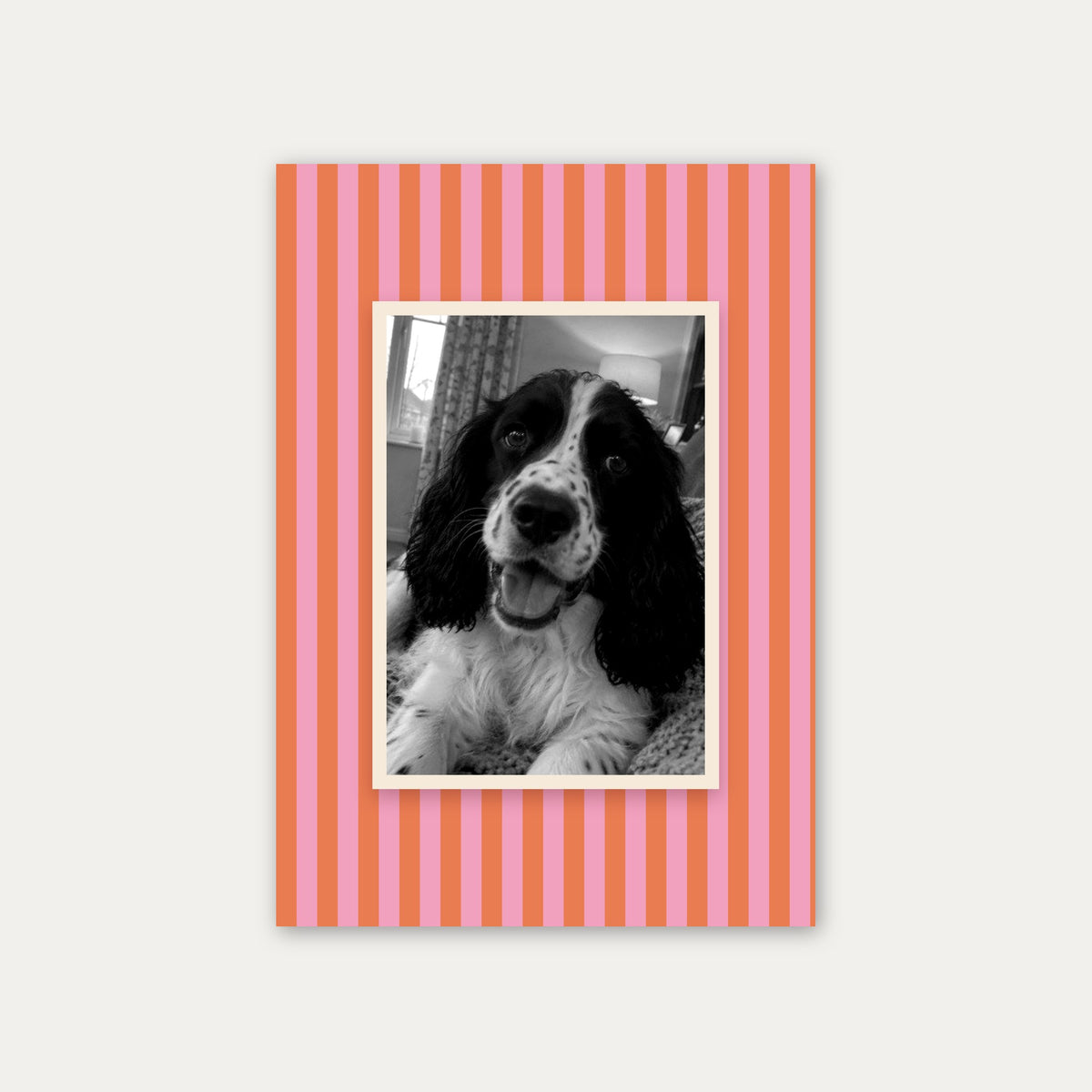 Candy Stripe custom pet photo print unframed