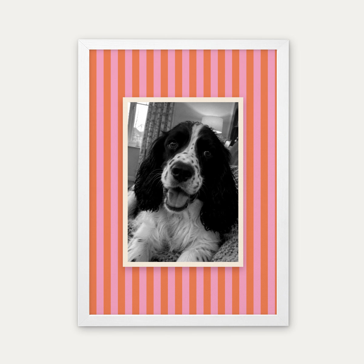 Candy Stripe custom pet photo print in a white frame