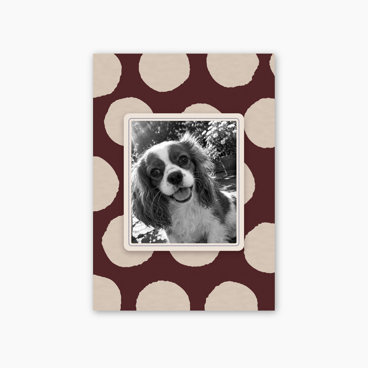 Painted Dots custom pet photo print unframed
