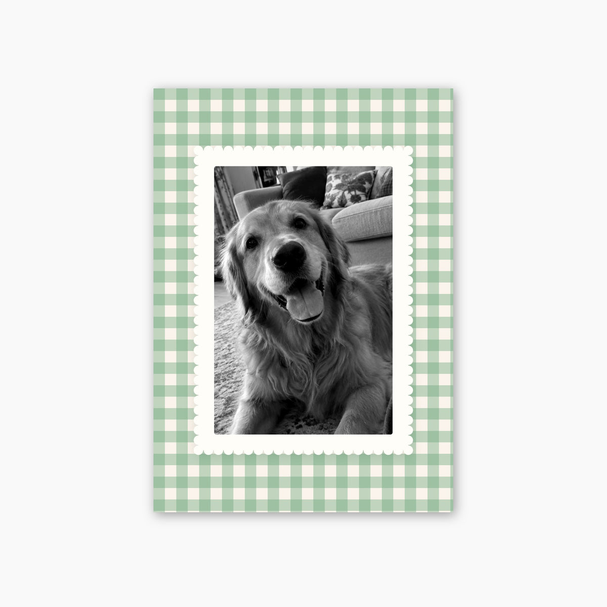 Gingham custom pet photo print unframed
