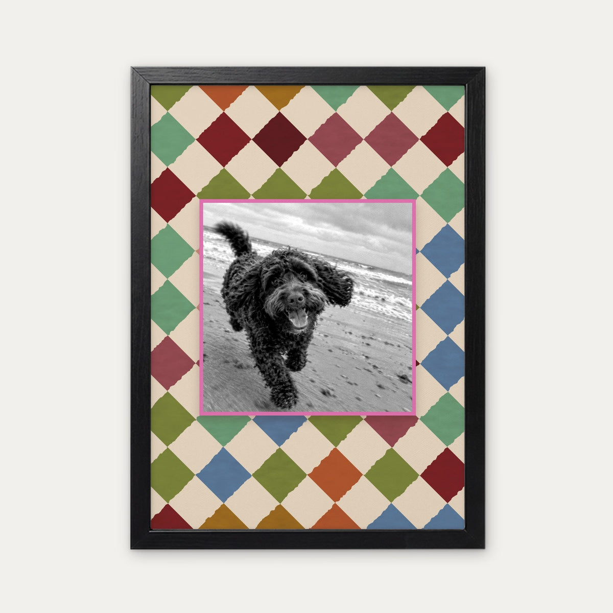 Harlequin custom pet photo print in a black frame