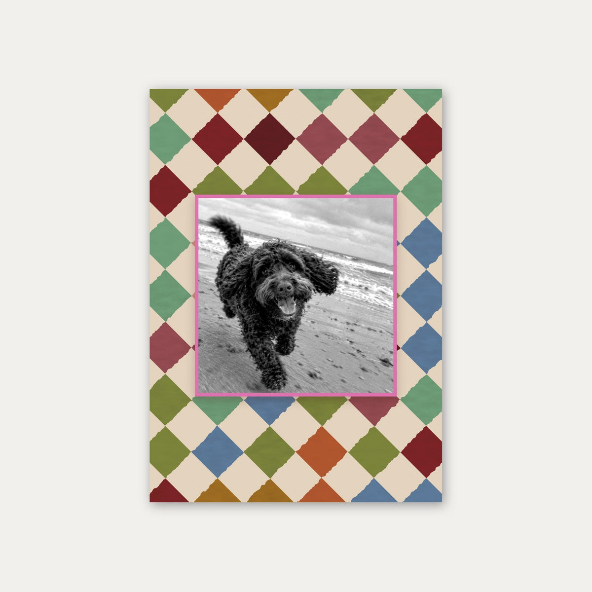 Harlequin custom pet photo print unframed