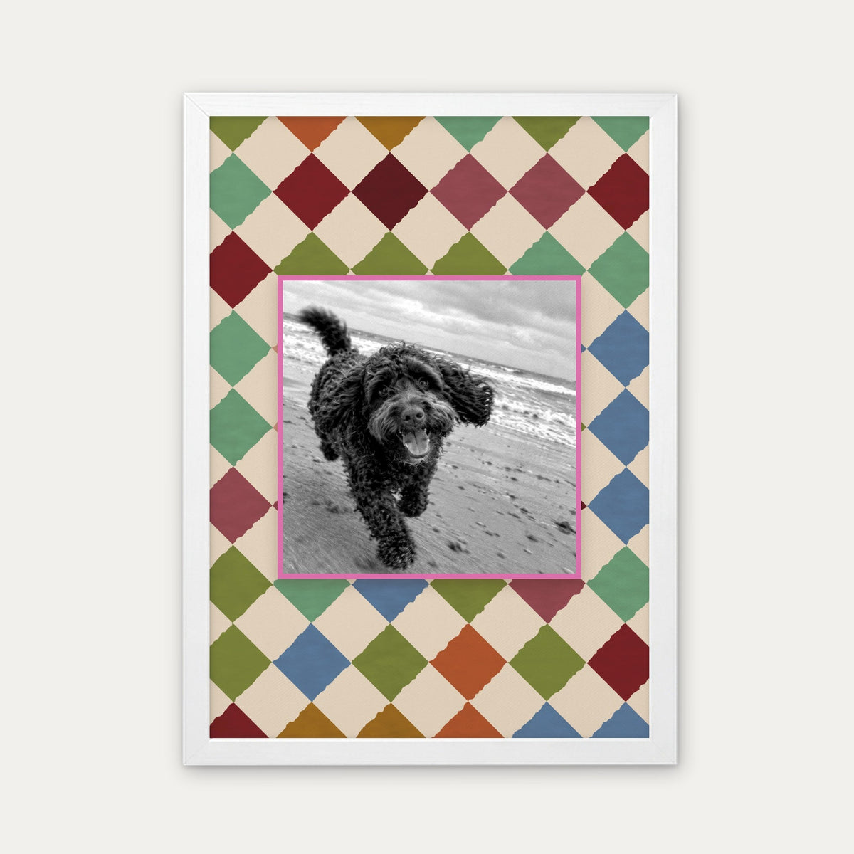 Harlequin custom pet photo print in a white frame