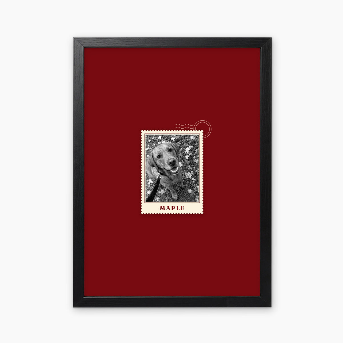 First Class custom pet photo print in a black frame