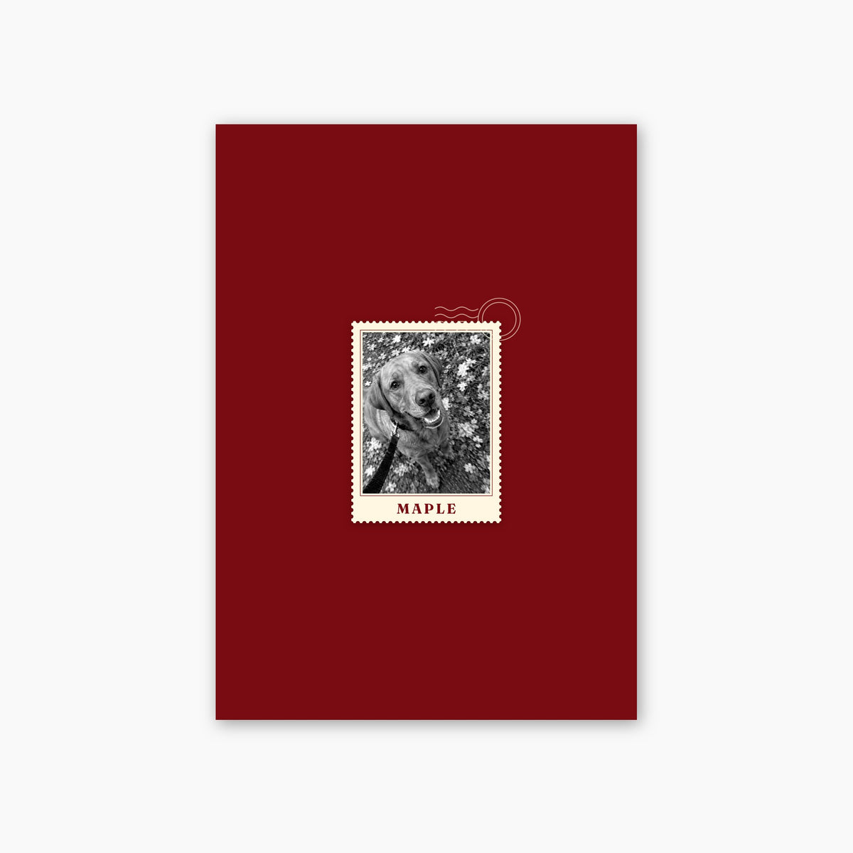 First Class custom pet photo print unframed