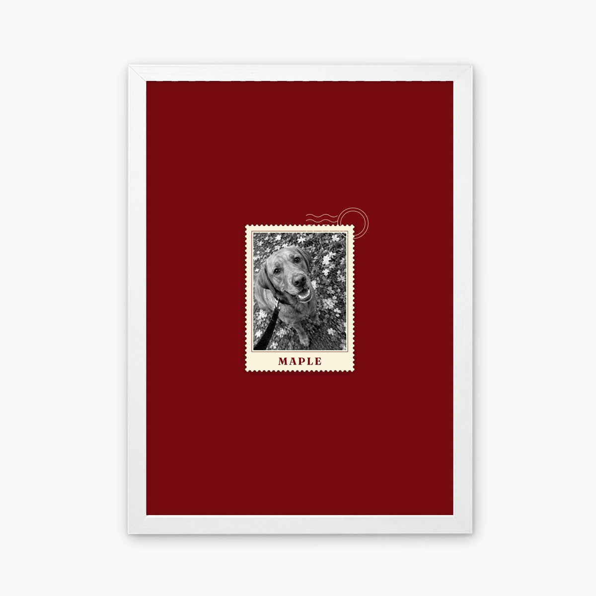First Class custom pet photo print in a white frame