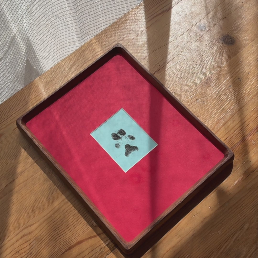 DIY Paw Print Kit