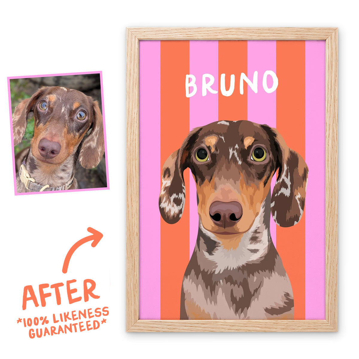 Coral & Blush Pink Stripy pet portrait in a light birch frame, before and after, 100% likeness guaranteed