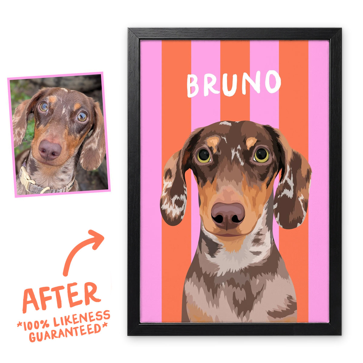 Coral & Blush Pink Stripy pet portrait in a black frame, before and after, 100% likeness guaranteed