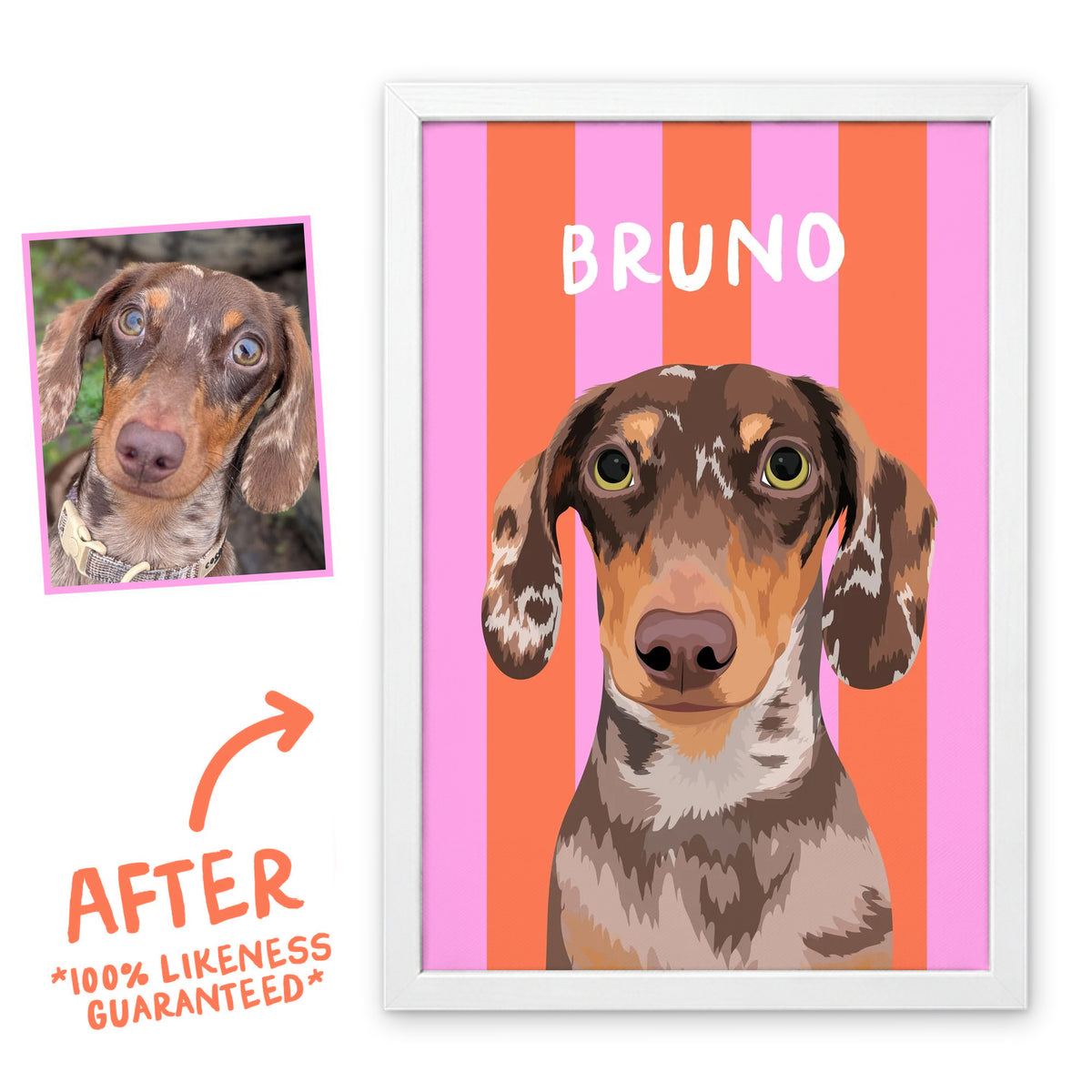 Coral & Blush Pink Stripy pet portrait in a white frame, before and after, 100% likeness guaranteed