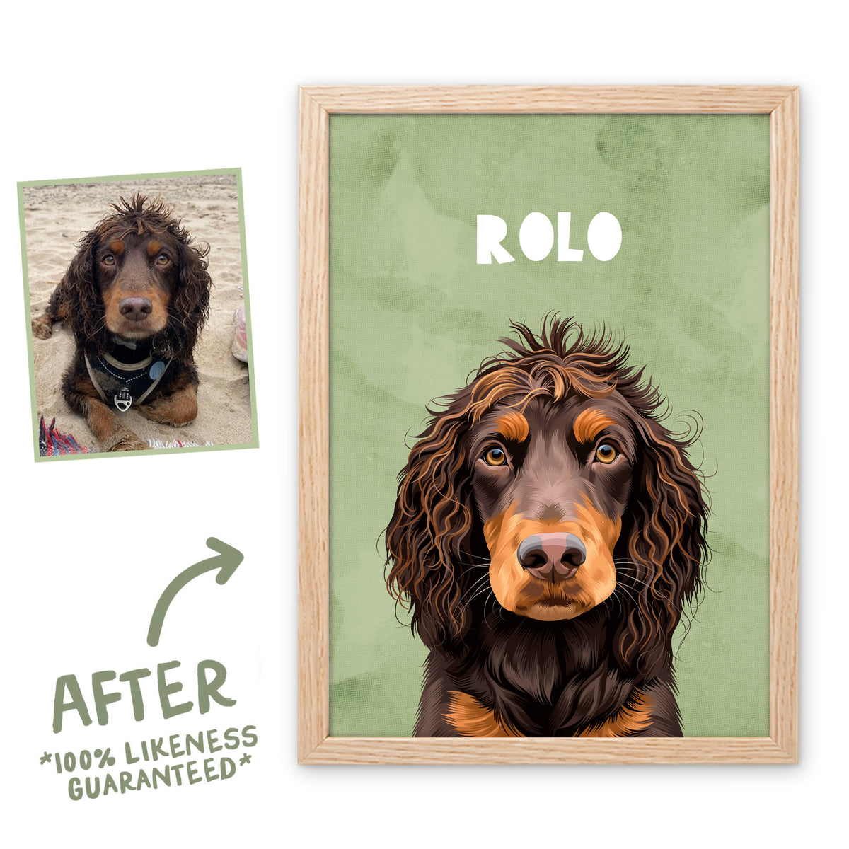 Meadow Wanderer pet portrait of Rolo in a light birch frame, before and after, 100% likeness guaranteed