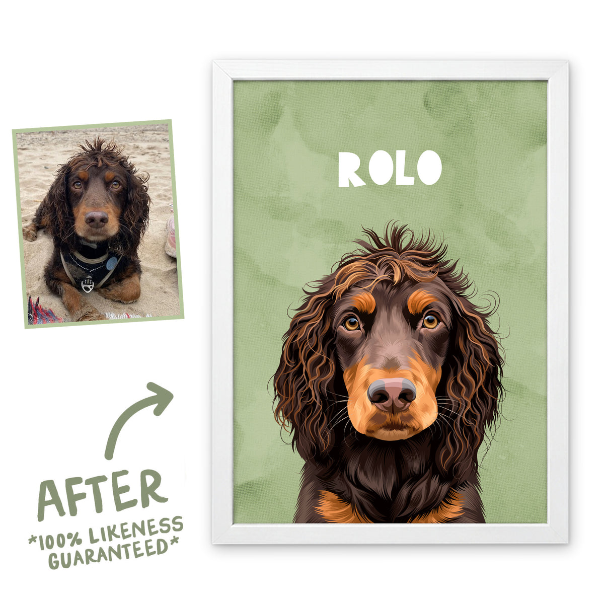 Meadow Wanderer pet portrait of Rolo in a white frame, before and after, 100% likeness guaranteed