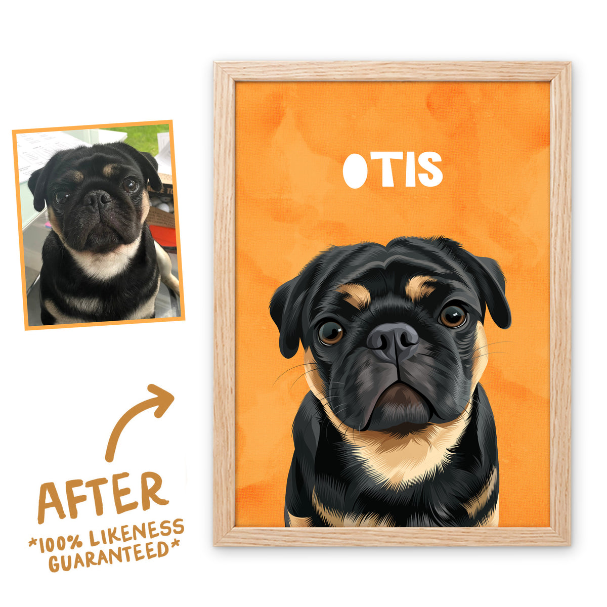 Orange Wanderer pet portrait of Otis in a light birch frame, before and after, 100% likeness guaranteed