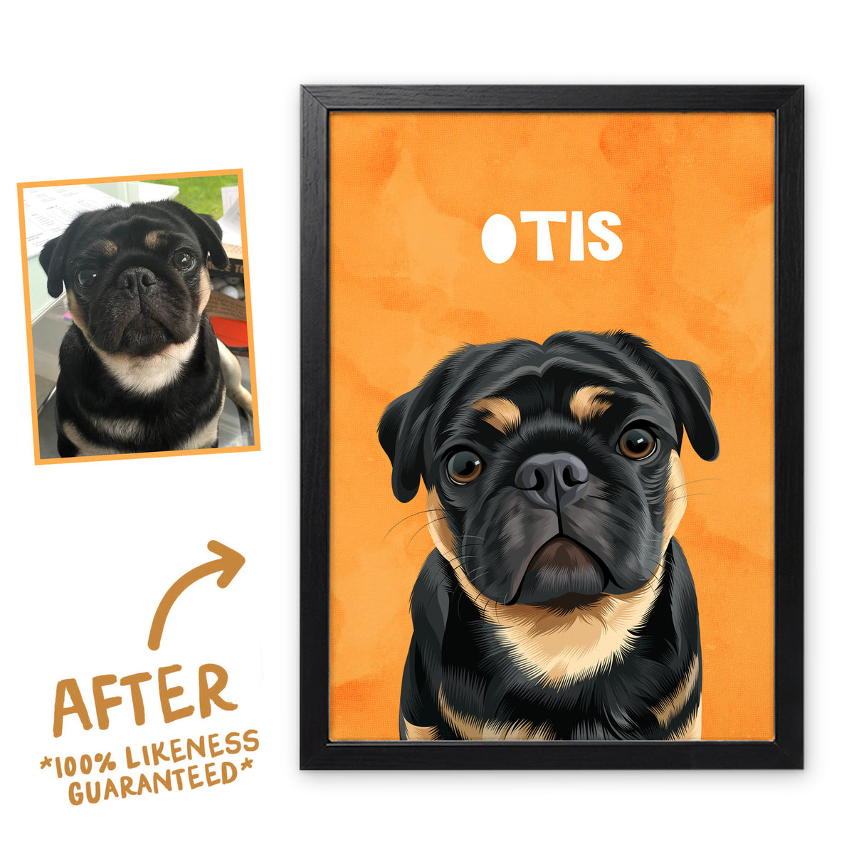 Orange Wanderer pet portrait of Otis in a black frame, before and after, 100% likeness guaranteed