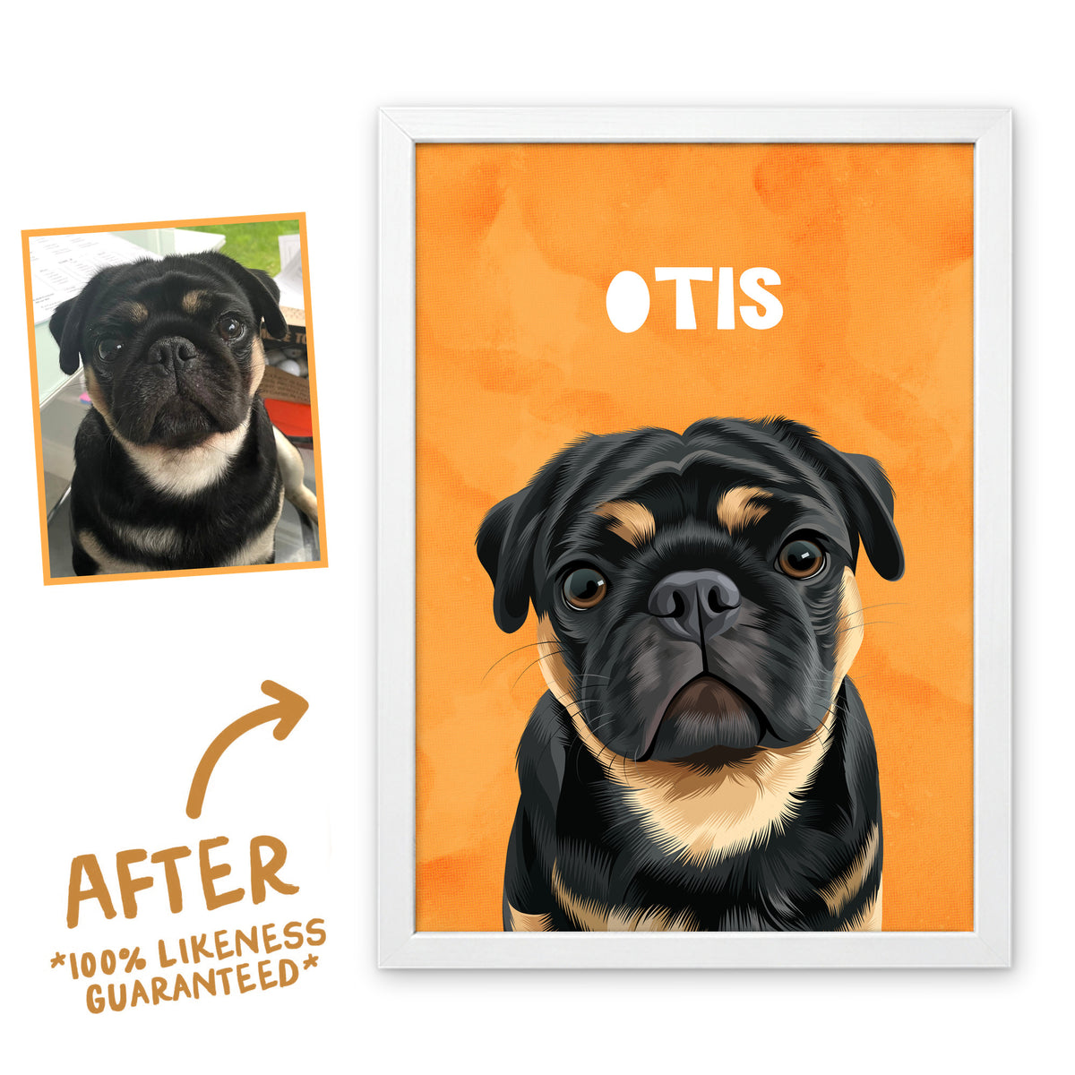 Orange Wanderer pet portrait of Otis in a white frame, before and after, 100% likeness guaranteed