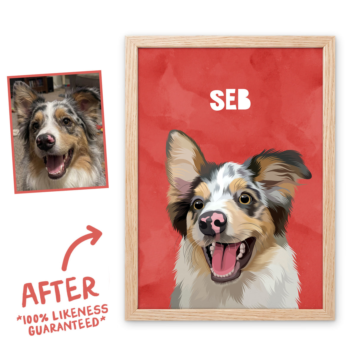Poppy Red Wanderer pet portrait of Seb in a light birch frame, before and after, 100% likeness guaranteed