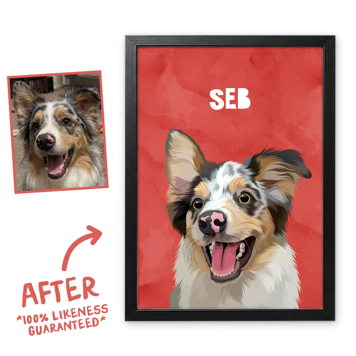 Poppy Red Wanderer pet portrait of Seb in a black frame, before and after, 100% likeness guaranteed