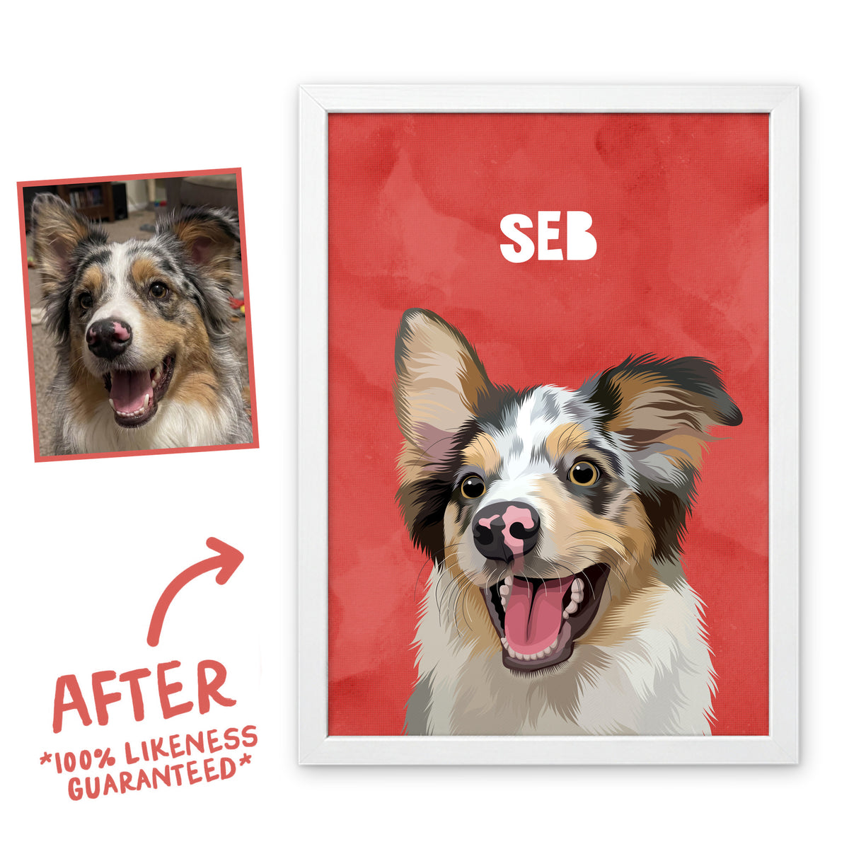 Poppy Red Wanderer pet portrait of Seb in a white frame, before and after, 100% likeness guaranteed