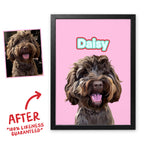 Bubblegum Wild pet portrait of Daisy in a black frame, before and after, 100% likeness guaranteed