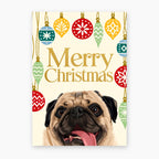 Baubles | Custom Pet Christmas Cards